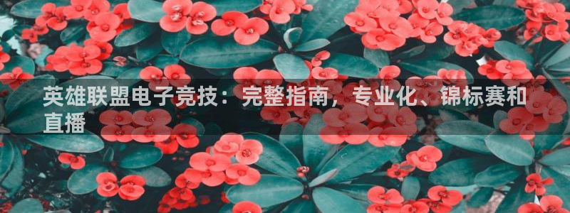 星欧娱乐扣款时间查询方法是什么