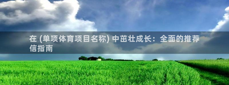 星欧娱乐公司简介