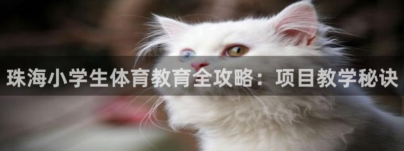 星欧娱乐巴711.112扣费记录查询方法