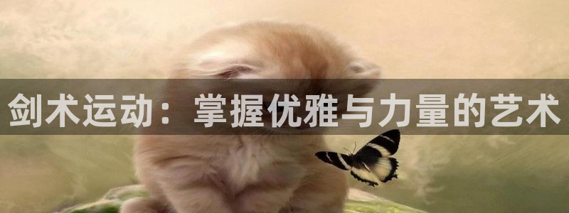 星欧娱乐扣款流程详解视频下载