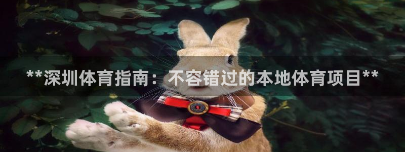 星欧娱乐属于什么档次的公司名称