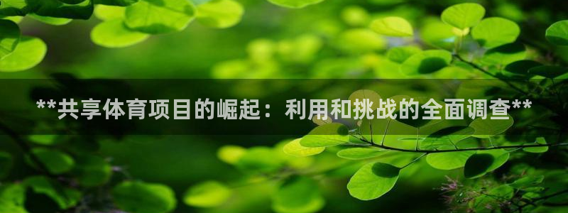 星欧娱乐扣款时间查询方法