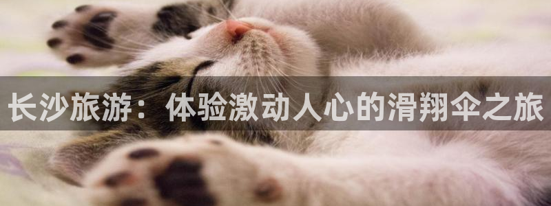 星欧娱乐退款电话人工服务