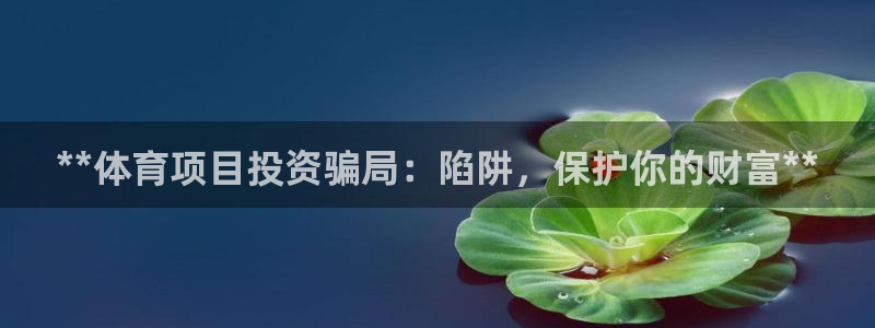 星欧娱乐扣款流程详解