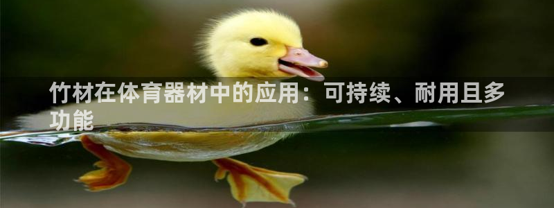 澳星国际娱乐集团