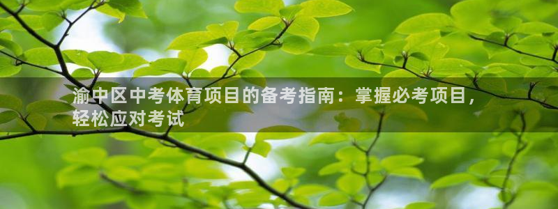 江苏星奥娱乐有限公司招聘
