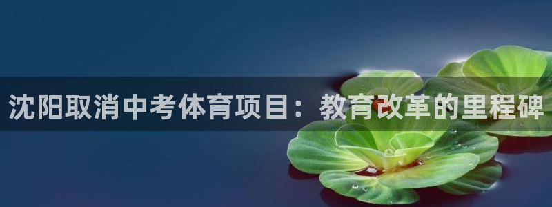 星欧娱乐平台怎么样可靠吗知乎