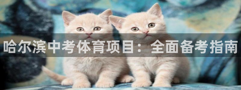 星欧娱乐测速软件下载