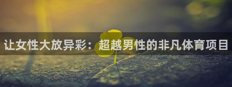 星娱乐是谁的公司