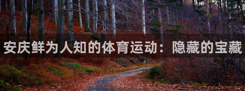 星欧娱乐挂机赚钱是真的吗