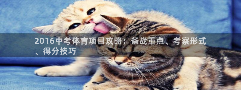 星欧娱乐挂机教程