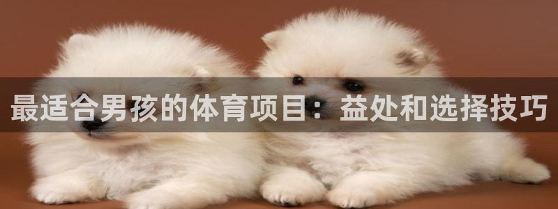 星欧娱乐挂机赚钱软件