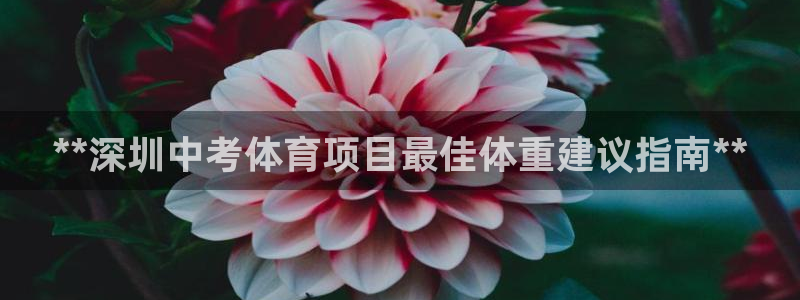 星欧娱乐游戏官网