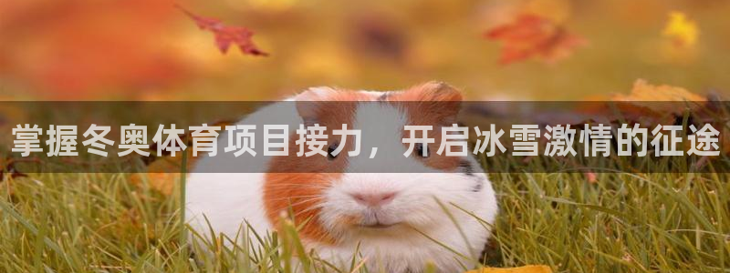 星欧娱乐最建议买的三个产品是什么意思