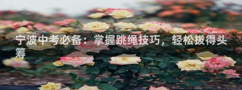 星欧娱乐的官方版本更新内容是什么