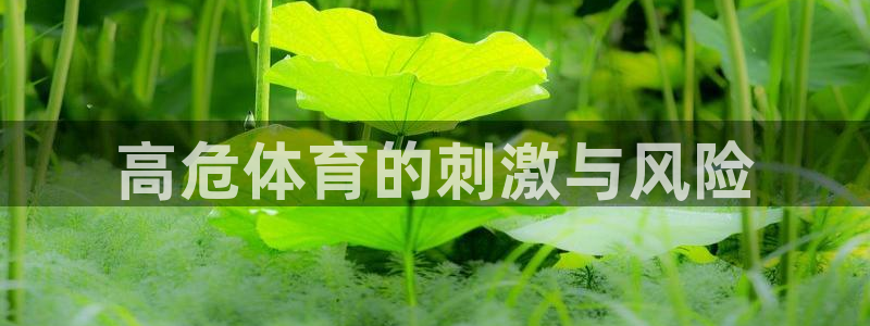 新星娱乐怎么开挂