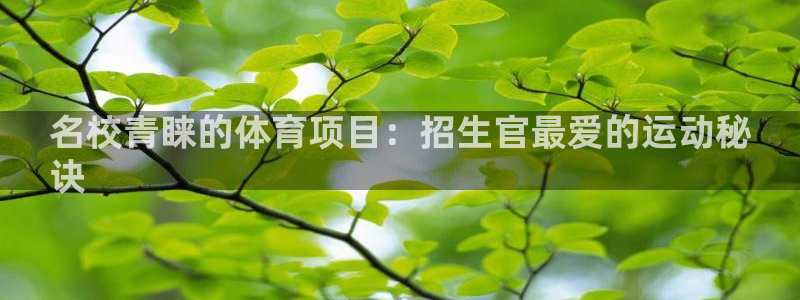 星欧娱乐官方客服联系方式查询