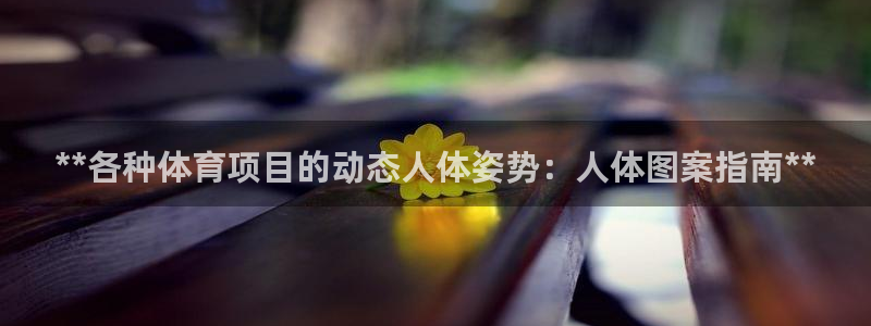 星欧娱乐平台测速线路怎么设置