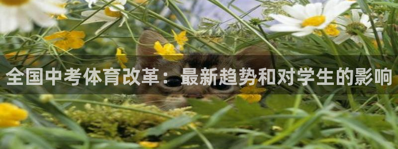 星欧娱乐联售后服务评价