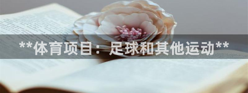 星欧娱乐公司创始人背景故事