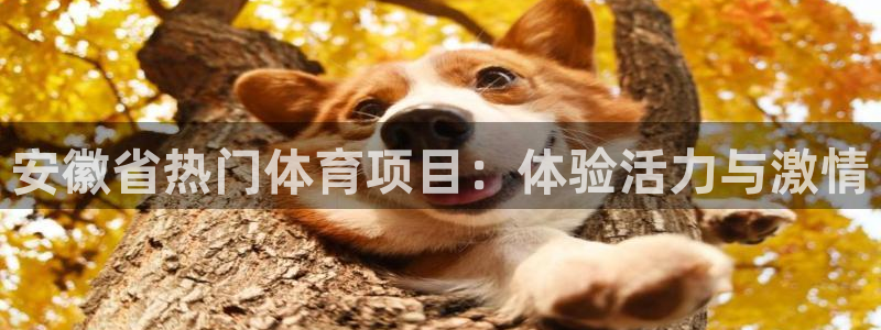 星欧娱乐平台怎么样知乎赚钱吗