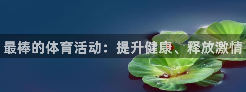 星欧娱乐属于什么档次的公司啊