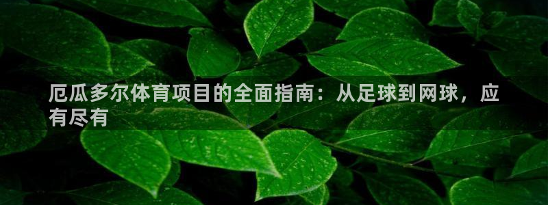 星娱乐online音乐