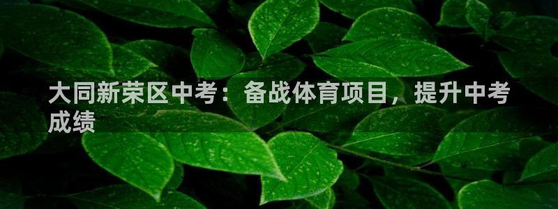 星欧娱乐属于什么档次的公司