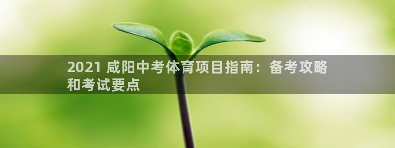 星娱乐是谁的公司