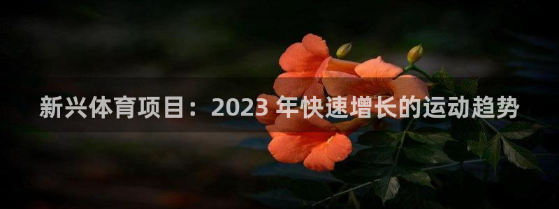 星欧娱乐最建议买的三个产品有哪些呢