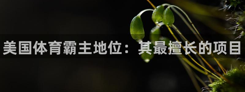 星欧娱乐游戏中心官网登录