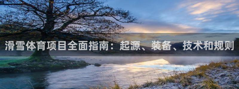 澳星国际娱乐集团