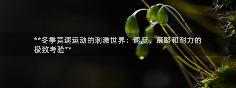 新星娱乐怎么开挂