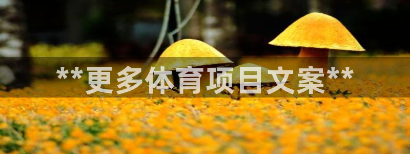 星欧娱乐扣款时间查询方法是什么