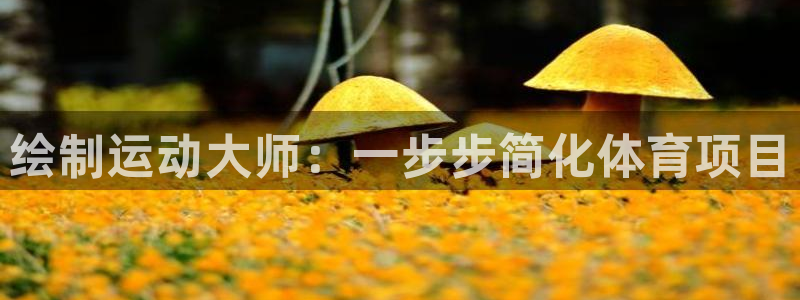 星奥盛典娱乐会所