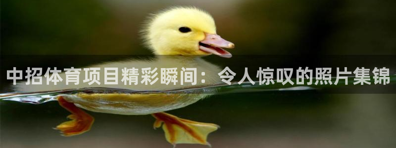 星欧娱乐最建议买的三个产品是什么意思