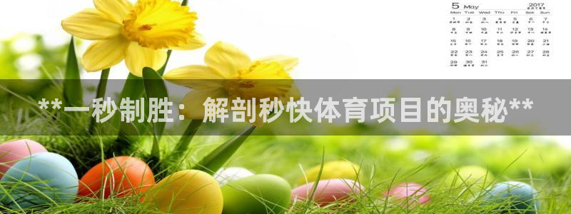 星娱乐是谁的公司