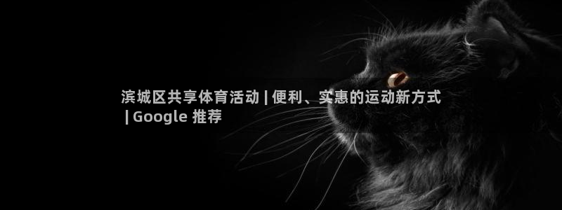 星欧娱乐公司简介