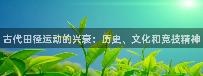 星欧娱乐扣款流程详解图