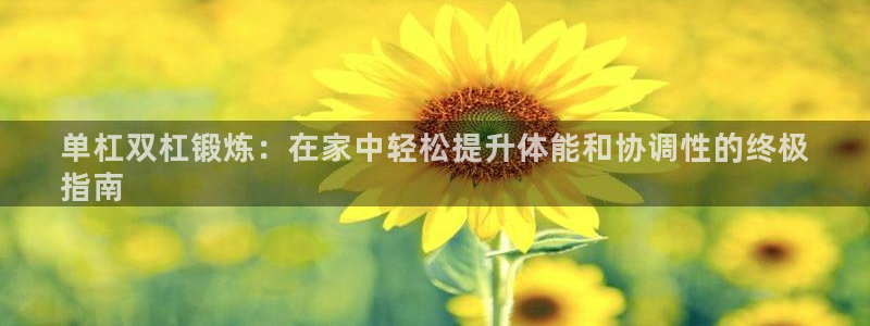 星澳娱乐公司简介