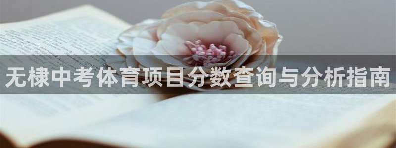 星欧娱乐扣费处理方法