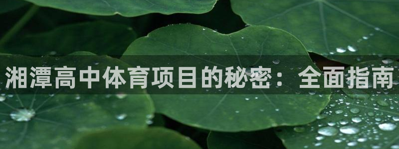 星欧娱乐扣费处理方法