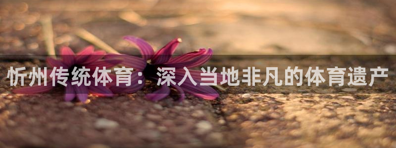 星欧娱乐载711.112使用教程详解