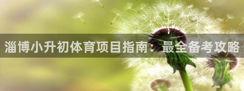 星欧娱乐属于什么档次的网站