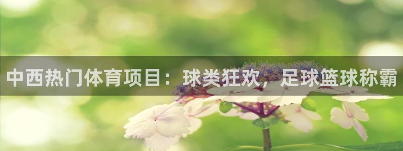 澳星国际娱乐集团