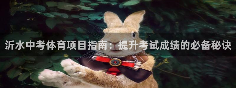 星澳娱乐公司地址