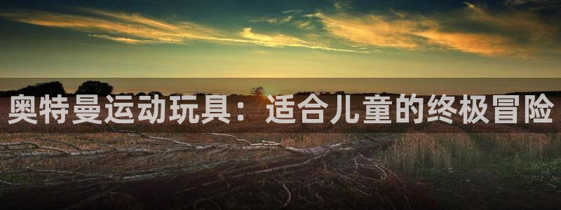 星欧娱乐联游戏评测