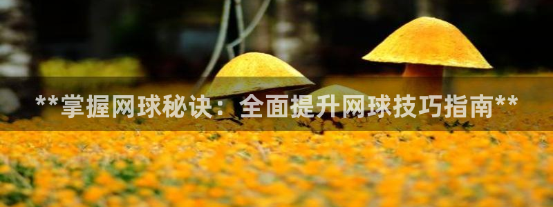 星欧娱乐属于什么档次的软件