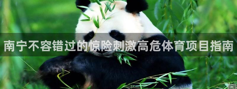 星欧娱乐平台怎么样可靠吗安全吗