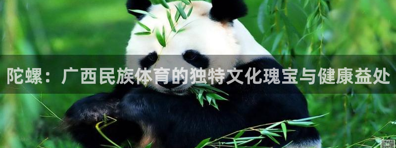 星欧娱乐平台怎么样知乎推荐